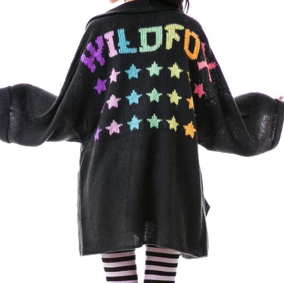 Wildfox Sweaters - 🎉WILDFOX sweater
